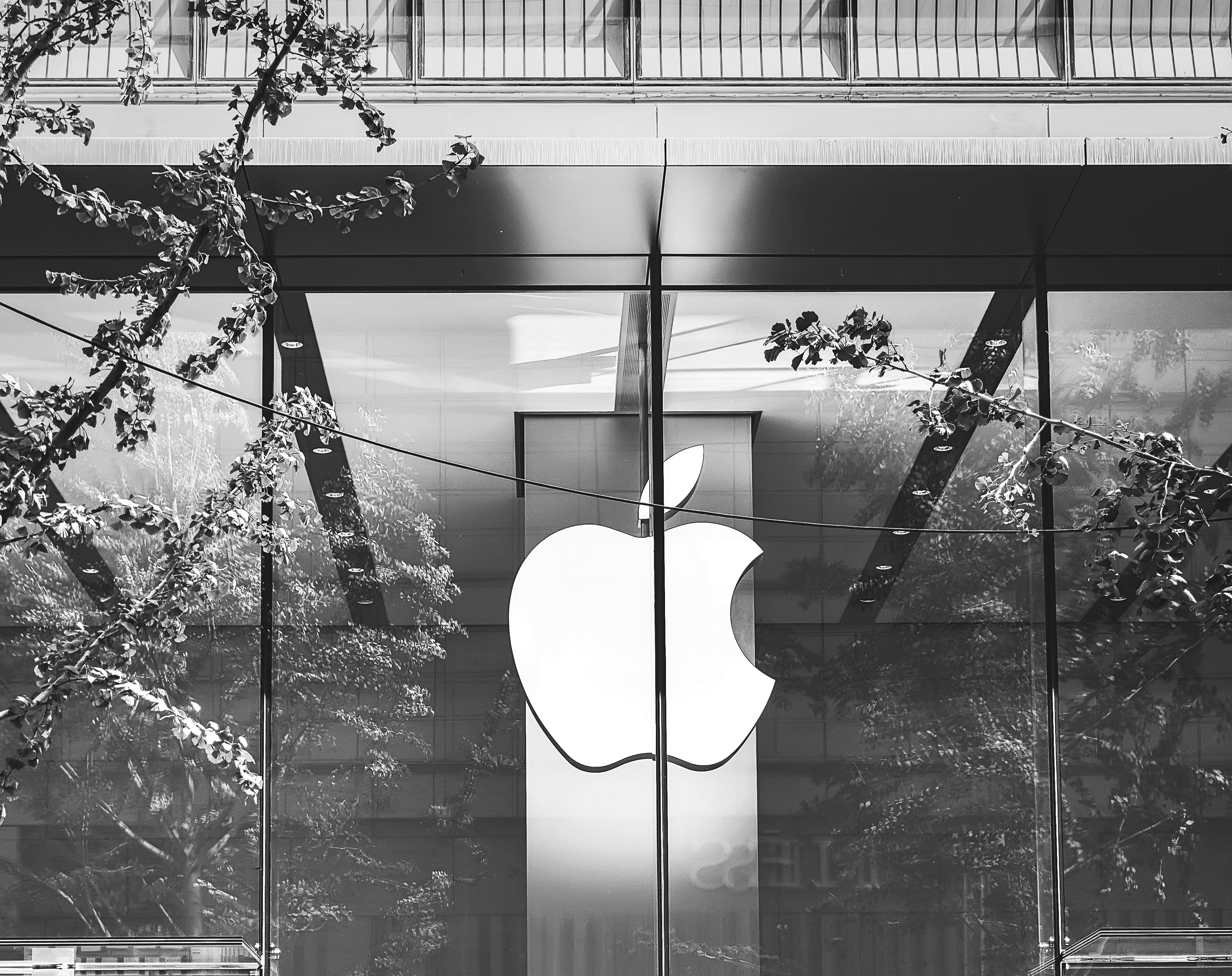 CITMA article- Time for discussion: a missed deadline may not have been the decider in Apple's unsuccessful opposition to a trade mark application by Apella Games